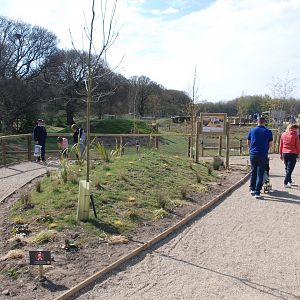Bush Dog Enclosure at Yorkshire WP, 18th April 2021
