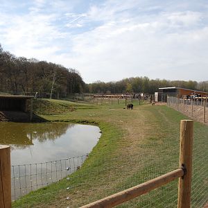 Tapir Enclosure at Yorkshire WP, 18th April 2021