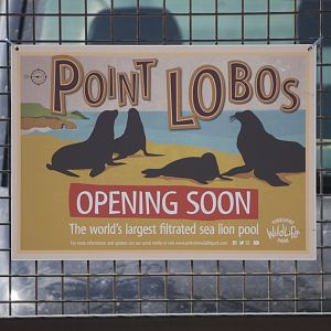 Signage for Point Lobos Sea Lion Development at Yorkshire WP, 18th April 2021