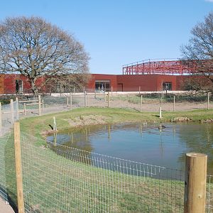 Tapir Enclosure at Yorkshire WP, 18th April 2021