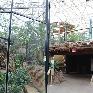 Small Mammal/Reptile House - Rainforest Atrium