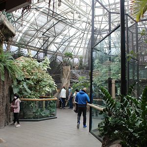 Small Mammal/Reptile House - Rainforest Atrium