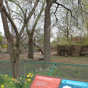 Hoofstock Loop - Grevy's Zebra Exhibit
