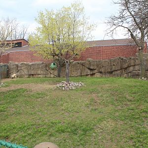 Hoofstock Loop - Takin Exhibit