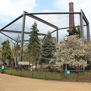 Birds of Prey Aviary (Cinereous Vulture and European White Stork)