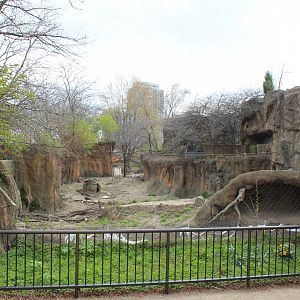 African Journey - Red River Hog Exhibit