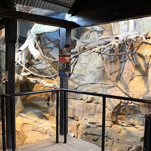 African Journey - Kopje Aviary