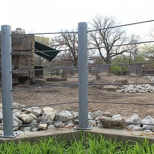 African Journey - Black Rhino Exhibit