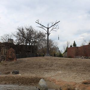 African Journey - Savannah (Giraffe & Plains Zebra)