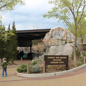 African Penguin Cove