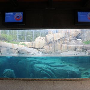 Arctic Tundra - Polar Bear Underwater Viewing