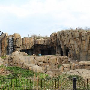 Arctic Tundra - Polar Bear Exhibit