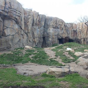 Arctic Tundra - Polar Bear Exhibit