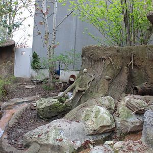 Children's Zoo - North American River Otter Exhibit