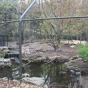 Children's Zoo - Red Wolf Exhibit