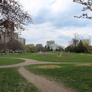 Lincoln Park (Just Outside the Zoo)