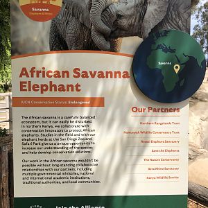African Savanna Elephant signage