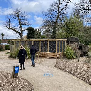 New Monkey Temple Aviary