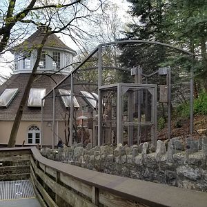 ZooAmerica - New Thick-billed Parrot exhibit