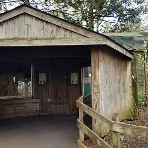ZooAmerica - Barn Owl, Red-tailed Hawk