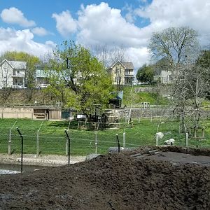 ZooAmerica - Full pronghorn exhibit