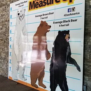 ZooAmerica - Bear height sign
