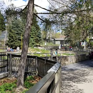 ZooAmerica - Prairie Dogs