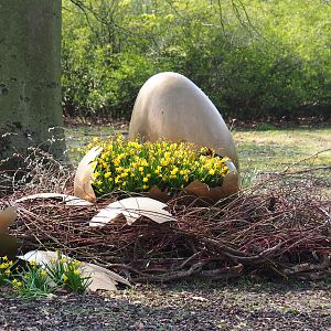 Easter/Spring decorations and flowers, 2021-04-20