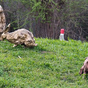 Easter/Spring decorative bunnies, 2021-04-20