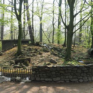 Empty exhibit, formerly home to European badgers and European red foxes, 2021-04-20