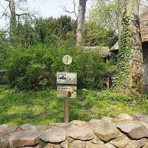 European badger exhibit (Former raccoon exhibit), 2021-04-20