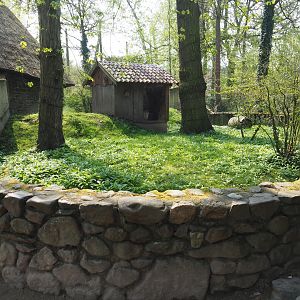 European badger exhibit (Former raccoon exhibit), 2021-04-20
