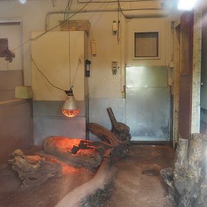 Indoor housing South-east Australian short-beaked echidna (Formerly wombat and dusky pademelon), 2021-04-20