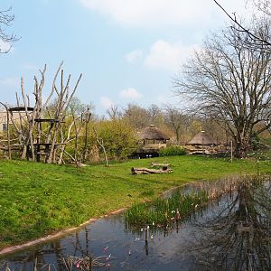 Bonobo island, 2021-04-21