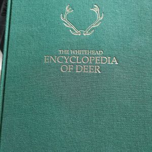 Whitehead Encyclopedia Of Deer by Kenneth Whitehead