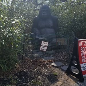 Cohanzick Zoo - Gorilla statue