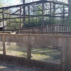 Cohanzick Zoo - Tortoise outdoor area