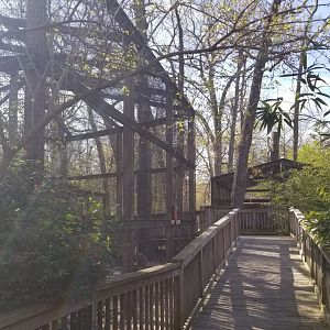 Cohanzick Zoo - Pathway