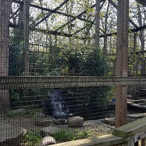 Cohanzick Zoo - Sandhill crane