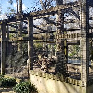 Cohanzick Zoo - African crested porcupine