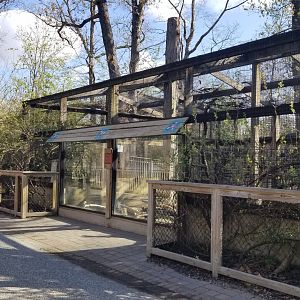 Cohanzick Zoo - African crested porcupine