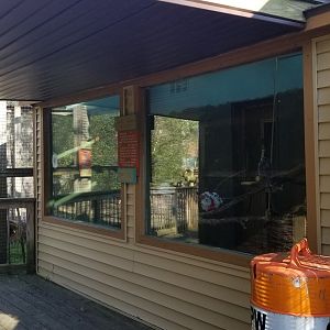 Cohanzick Zoo - Common marmoset