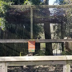 Cohanzick Zoo - Fishing cat