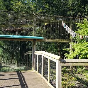 Cohanzick Zoo - Fishing cat