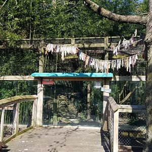 Cohanzick Zoo - Fishing cat