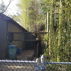 Cohanzick Zoo - Gibbon pathway to building