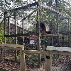 Cohanzick Zoo - Black & gold macaw