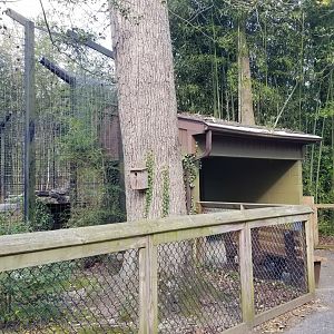 Cohanzick Zoo - Tiger viewing #1