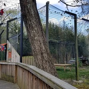 Cohanzick Zoo - Tiger