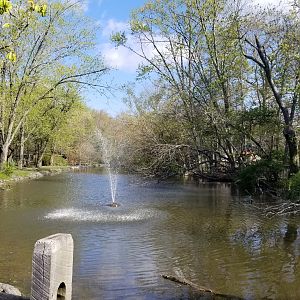 Cohanzick Zoo - Pond in the middle of the zoo